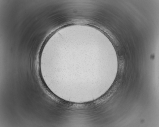 X0000116380840201001131807