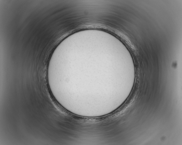 X0000116380841201001131807