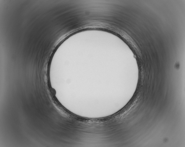 X0000116380842201001131807