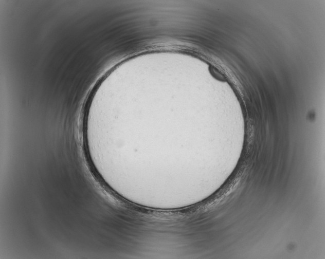 X0000116380843201001131807