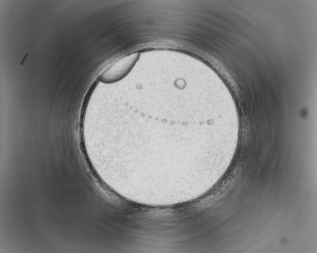 X0000116380845201001131807