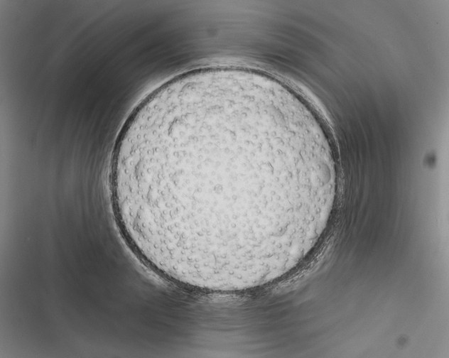X0000116380847201001131807