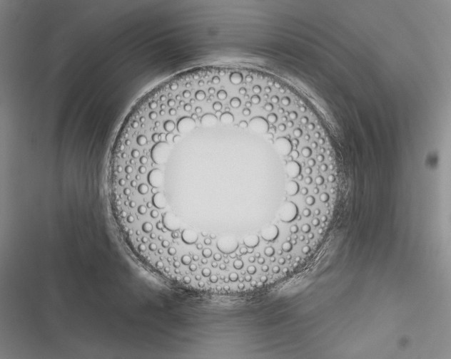 X0000116380848201001131807