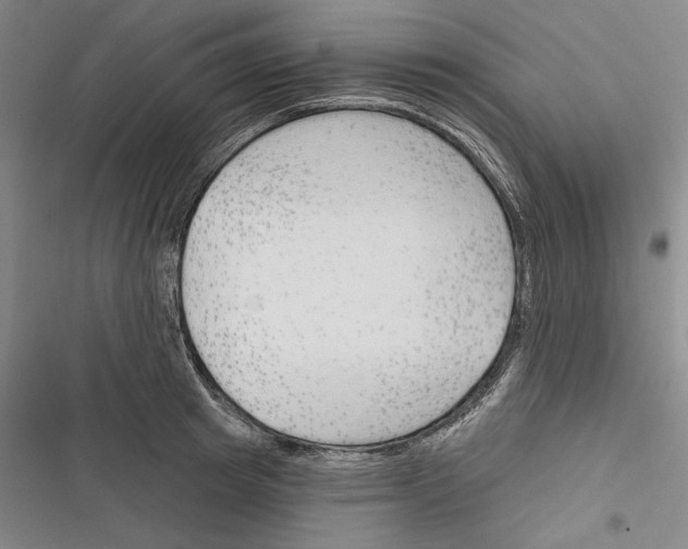 X0000116380849201001131807
