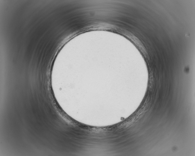 X0000116380850201001131807