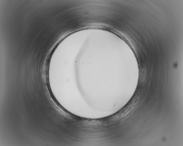 X0000116380851201001131807