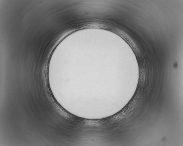 X0000116380852201001131807