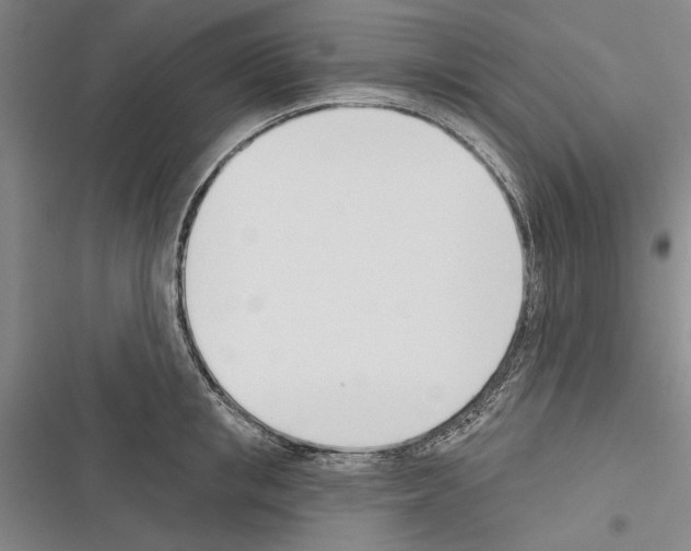 X0000116380853201001131807