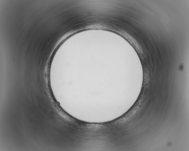 X0000116380854201001131807
