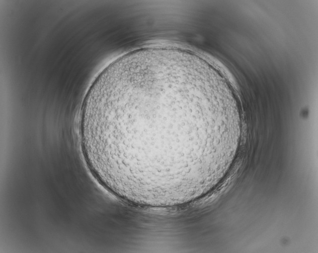 X0000116380855201001131807