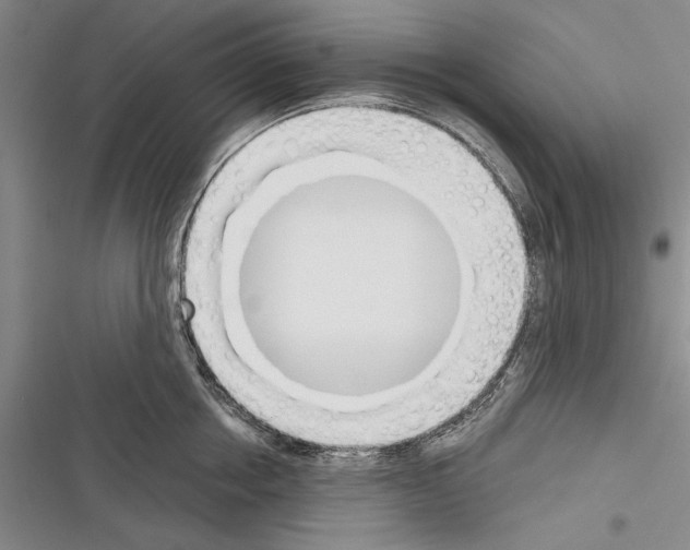 X0000116380858201001131807