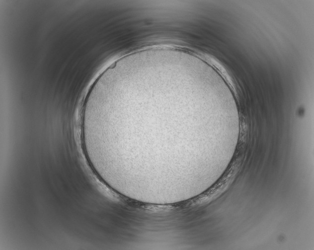 X0000116380859201001131807