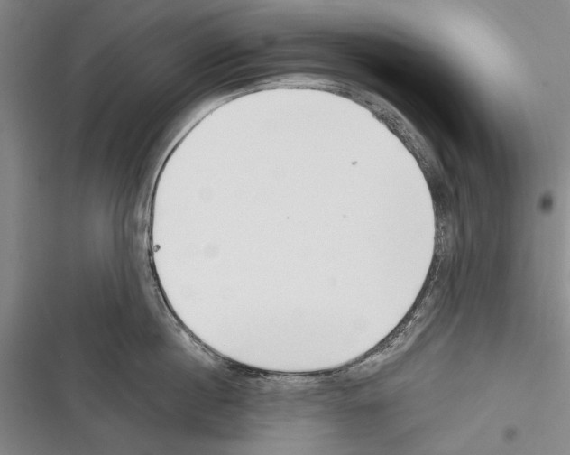 X0000116380860201001131807