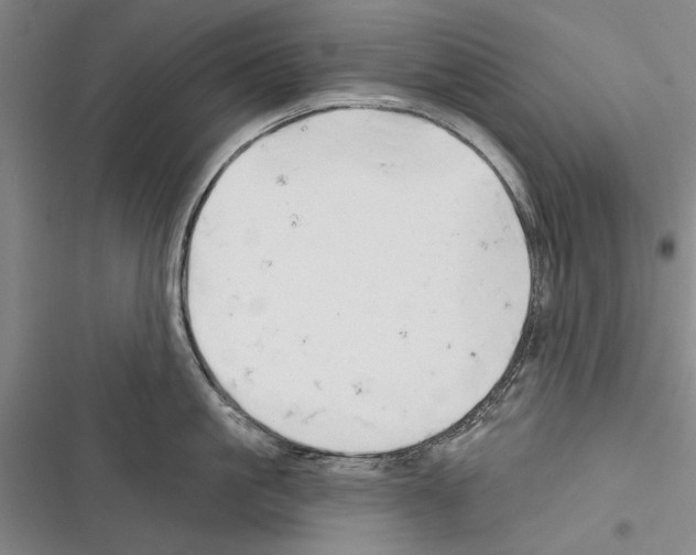 X0000116380861201001131807
