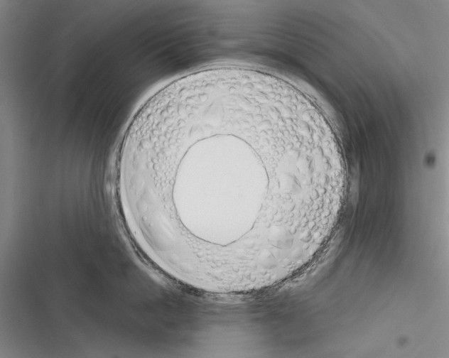 X0000116380862201001131807