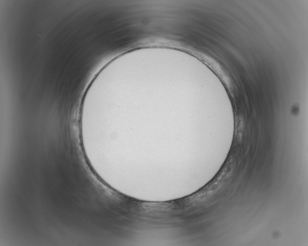 X0000116380863201001131807