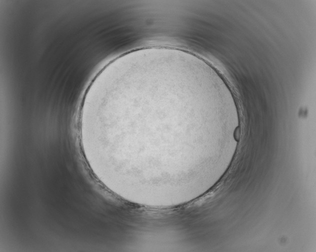 X0000116380864201001131807