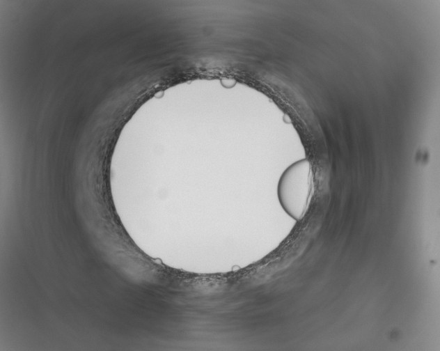 X0000116380865201001131806