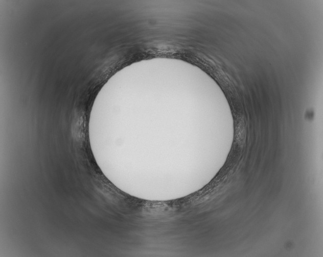 X0000116380866201001131806