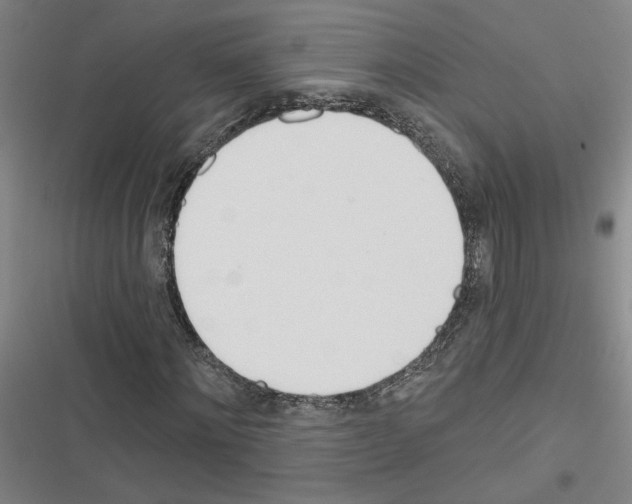X0000116380868201001131806