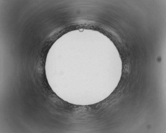 X0000116380869201001131806