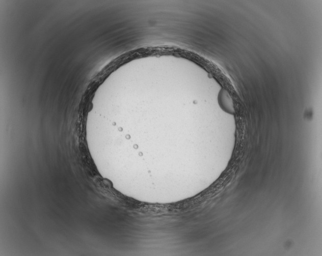 X0000116380871201001131806