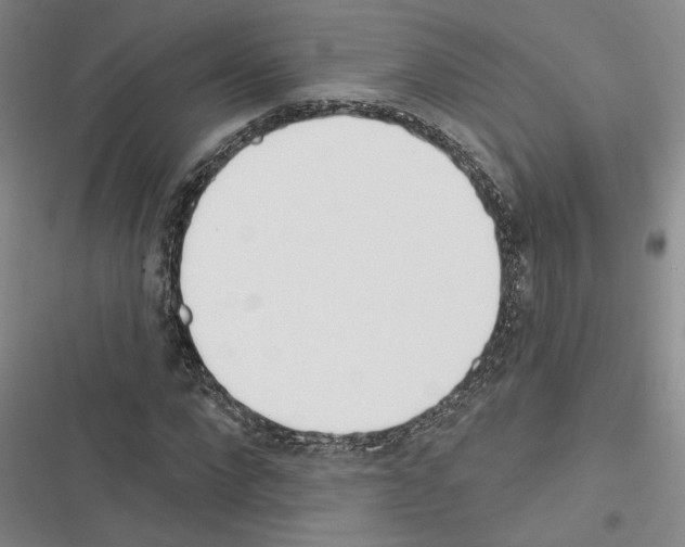 X0000116380872201001131806