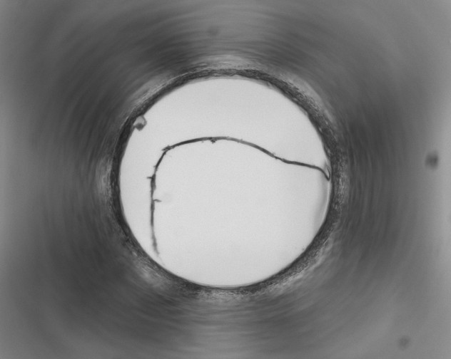 X0000116380873201001131806