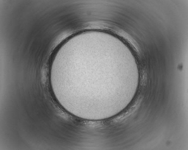 X0000116380874201001131806