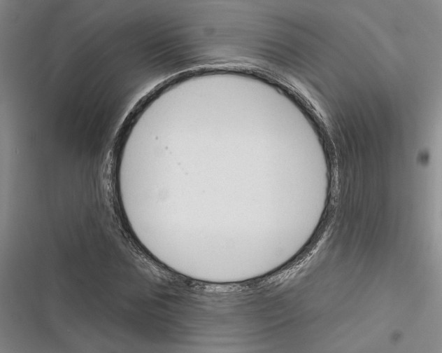 X0000116380875201001131806