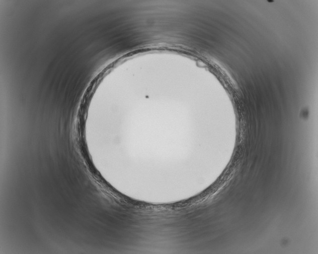 X0000116380876201001131806