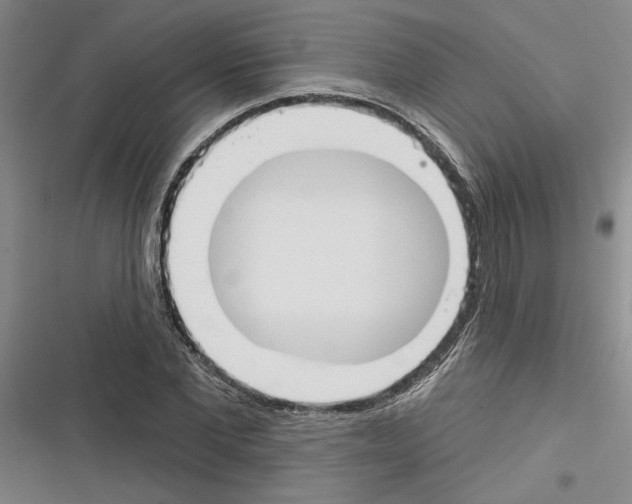 X0000116380877201001131806