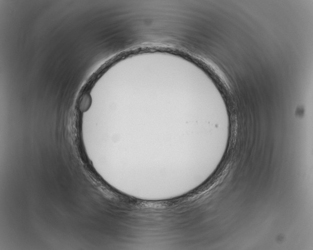 X0000116380878201001131806