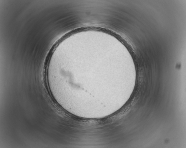 X0000116380879201001131806