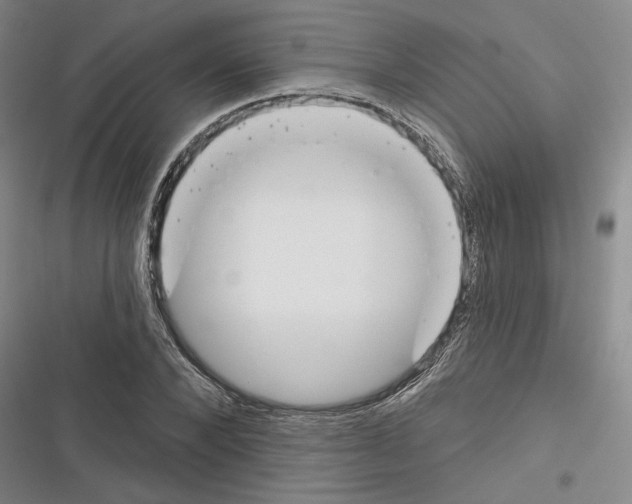 X0000116380880201001131806