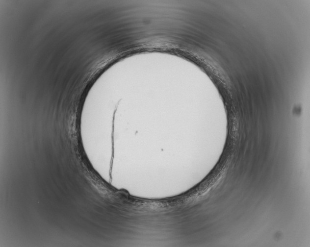 X0000116380881201001131806