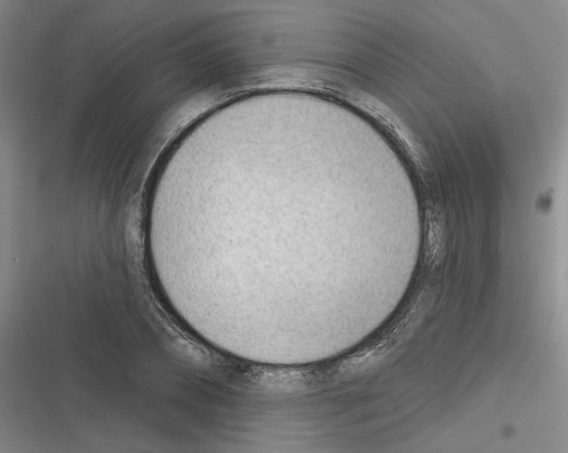 X0000116380882201001131806