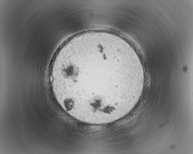 X0000116380883201001131806