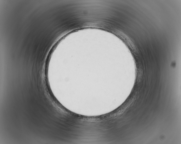 X0000116380884201001131806