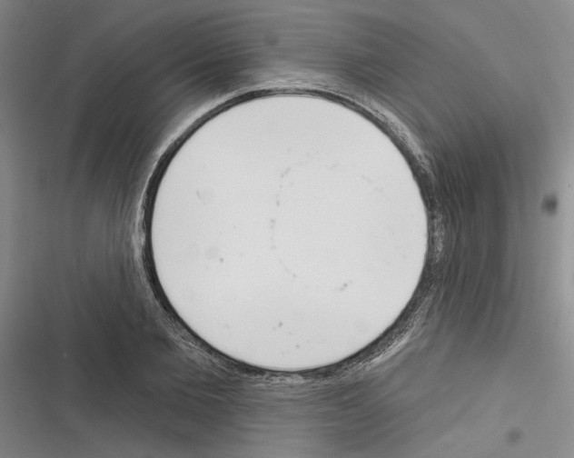 X0000116380885201001131806