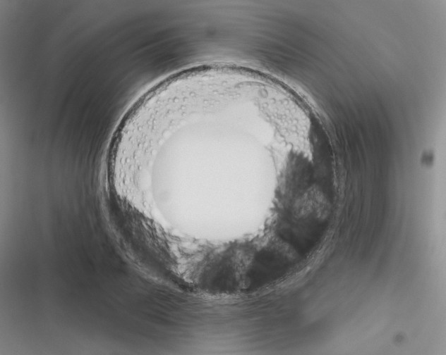X0000116380887201001131806
