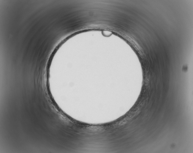X0000116380888201001131806