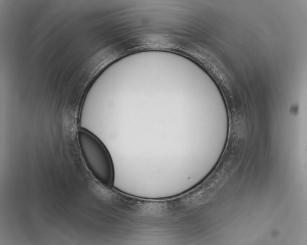 X0000116380889201001131806