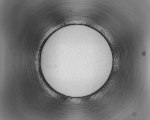X0000116380890201001131806
