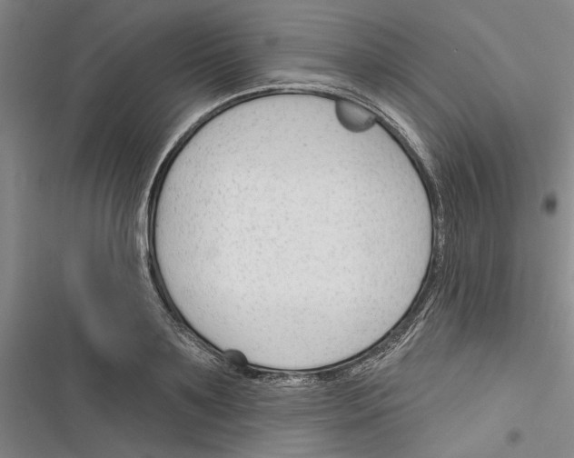 X0000116380891201001131806