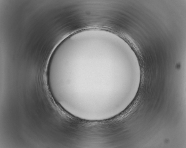 X0000116380892201001131806