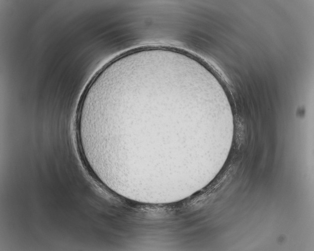 X0000116380895201001131806