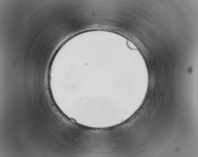 X0000116380896201001131806