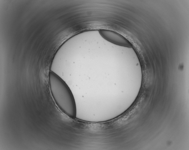 X0000116380897201001131806