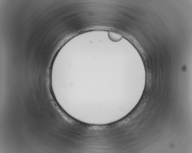 X0000116380898201001131806